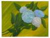 Preis 300,- EUR